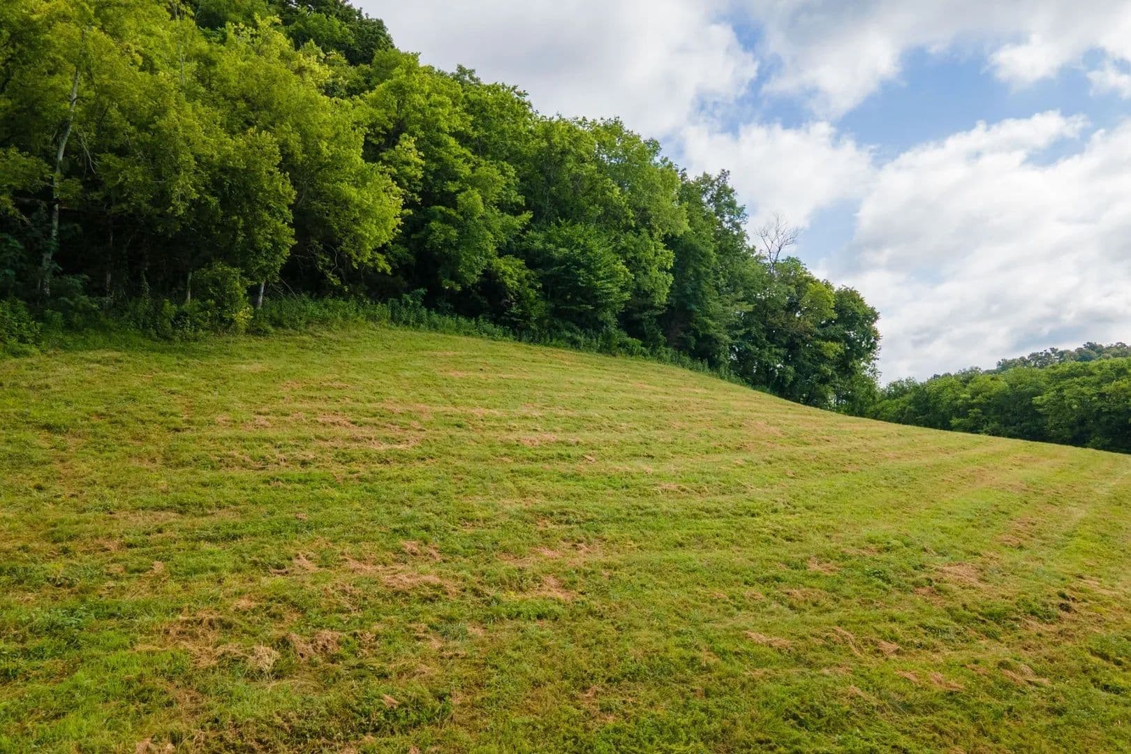 42 Acres of Land for Sale in Pleasant Shade, Tennessee - Pleasant Shade, Tennessee, 37145