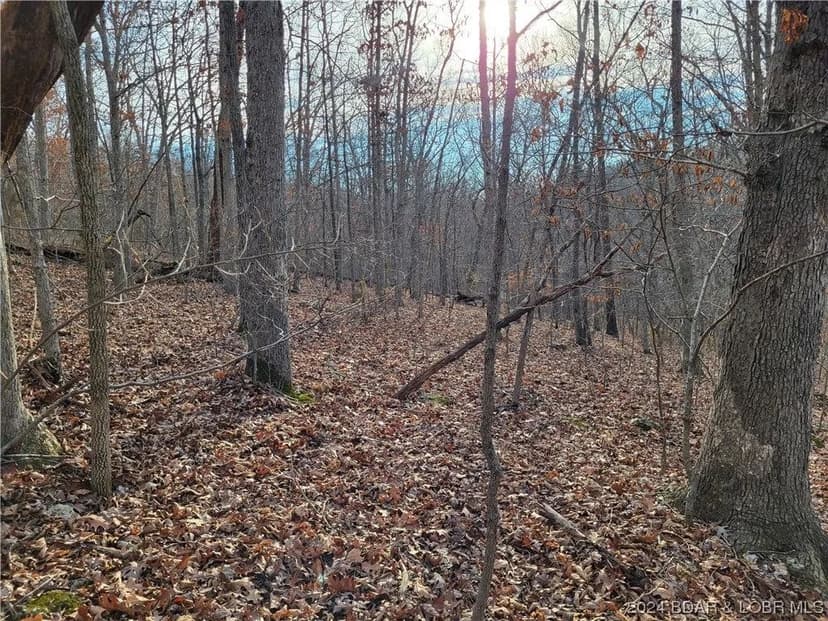 Lots & Land-Other in Edwards