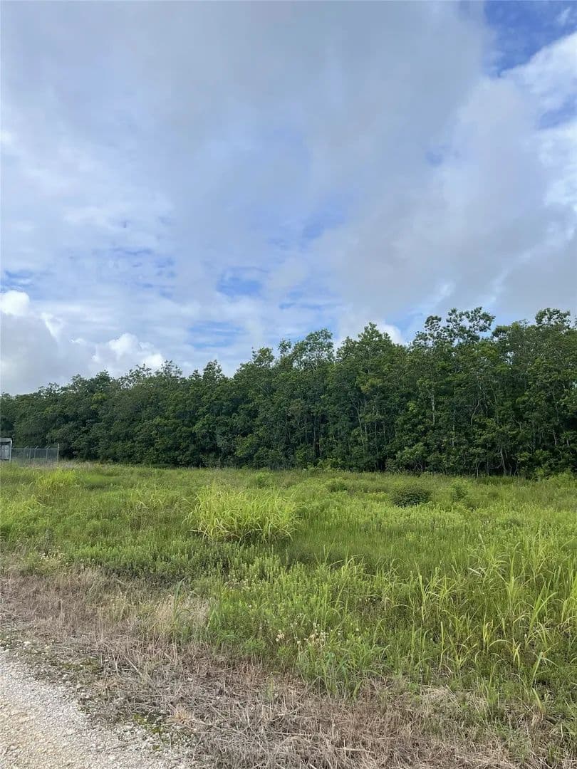 16.88 Acres of Land for Sale in Iowa Colony, Texas - Iowa Colony, Texas, 77583