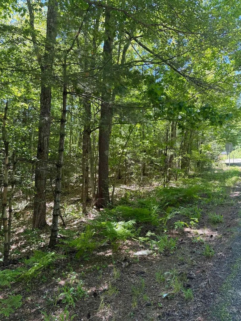 10.95 Acres of Land for Sale in Barrington, NH - Barrington, New Hampshire, 03825