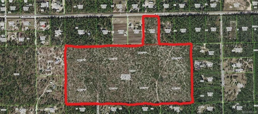 Land -Single Family Acreage in Dunnellon - Dunnellon, Florida, 34433