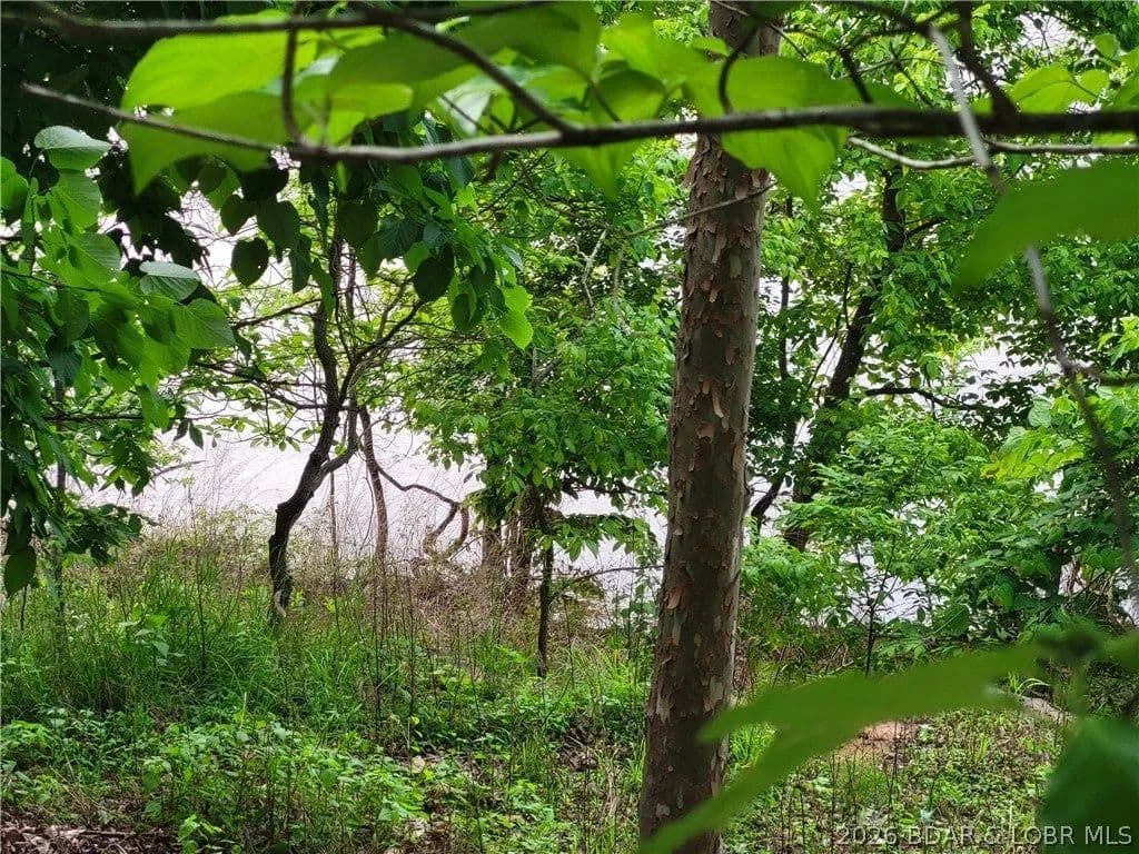 Lots & Land-Other in Edwards - Edwards, Missouri, 65326