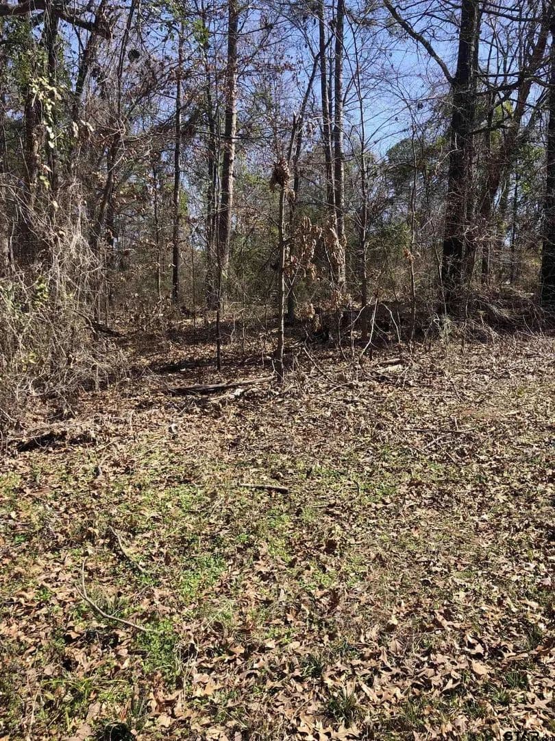 Lots & Land-Other in Pittsburg