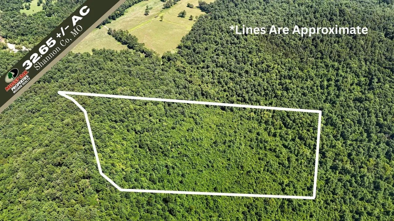 40± AC of Private Rcreational Land in Shannon Co. - Bunker, Missouri, 63629