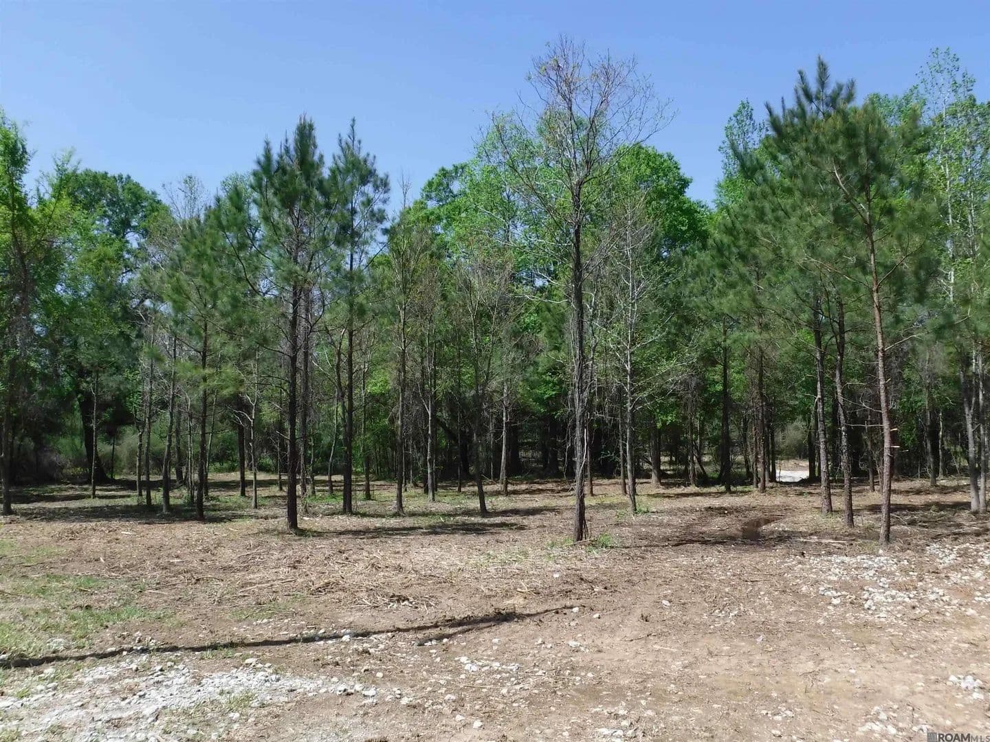 5.14 Acres of Land for Sale in Ethel, Louisiana - Ethel, Louisiana, 70730