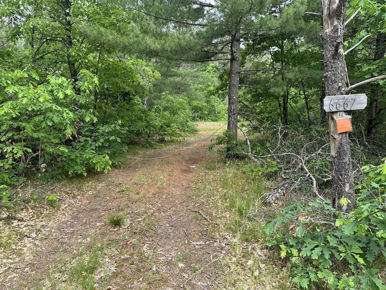 Property from 6667 S Dillard - KW - Baldwin, Michigan, 49304