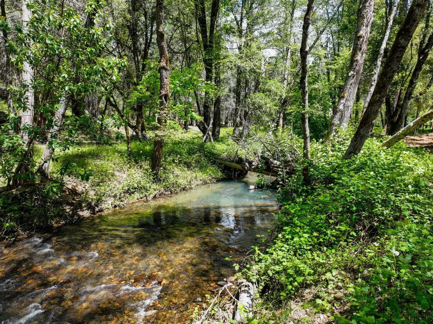 Property from 20493 Rector Road - KW - Nevada City, California, 95959