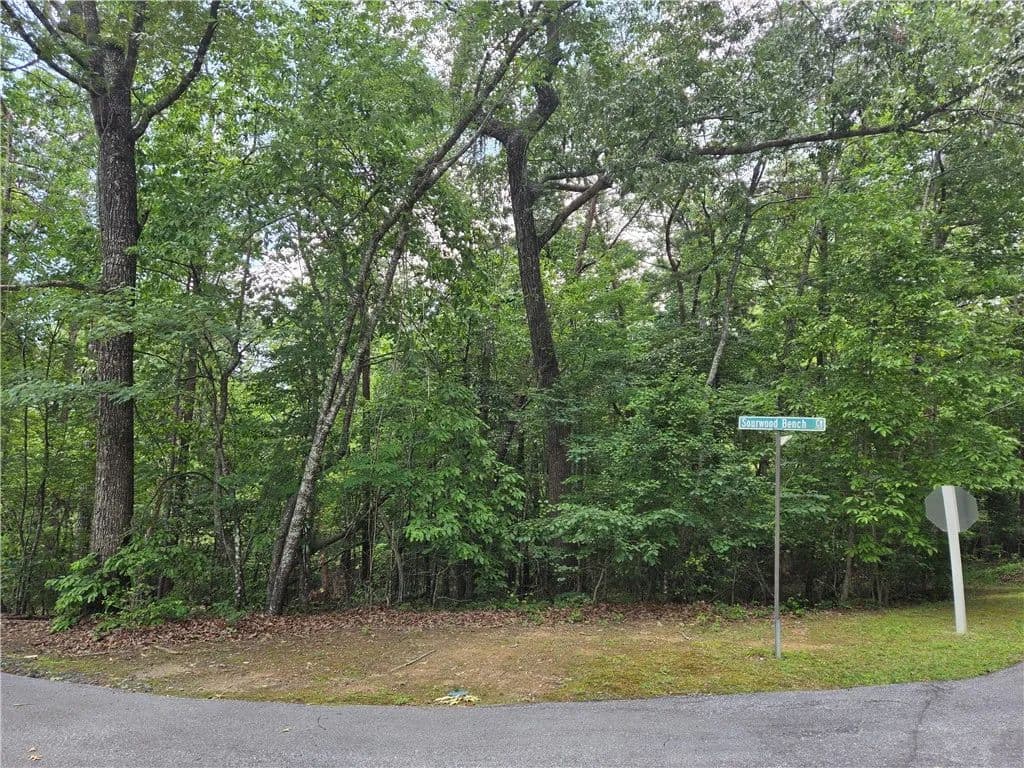 Property from 31 Turtlehead Drive - KW - Salem, South Carolina, 29676