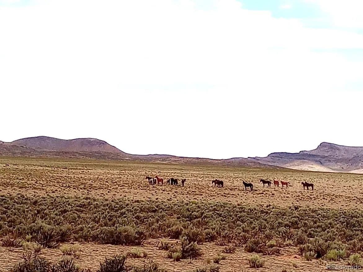 40 Acres of Land for Sale in San Acacio, CO - San Acacio, Colorado, 81151