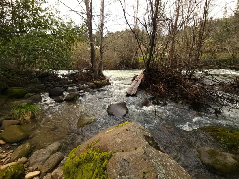 Lots & Land-Other in Oak Run