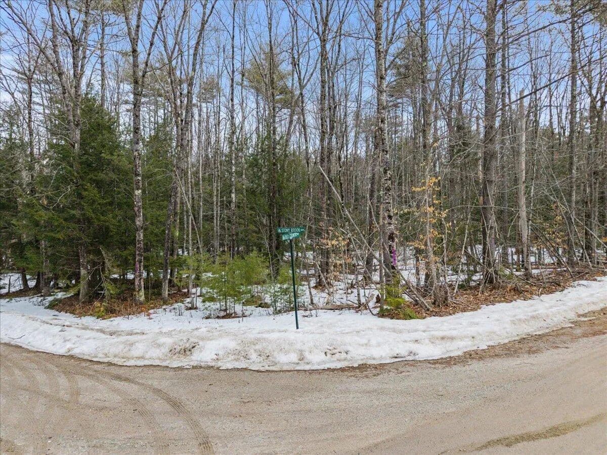 Vacant Land in Limerick - Limerick, Maine, 04048