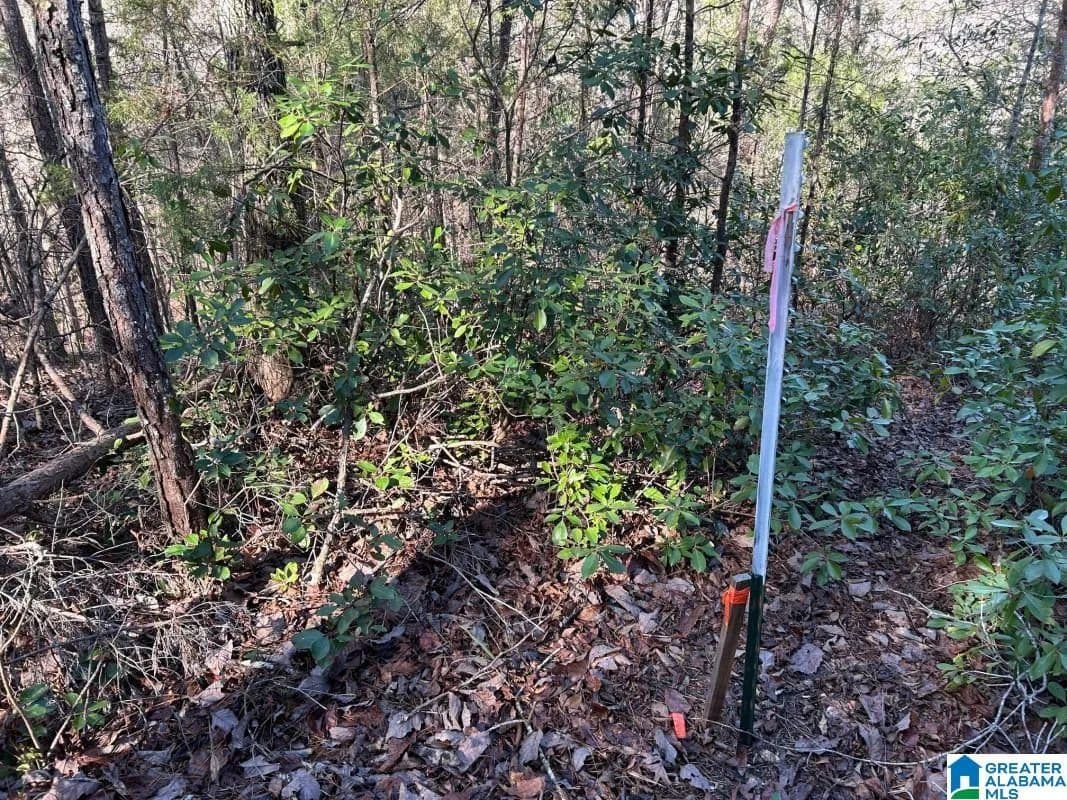 4.15 Acres of Land for Sale in NORTHPORT, AL - Northport, Alabama, 35475