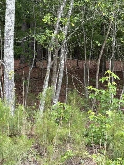 Property from Lot A Cemetery Road - KW - Elko, South Carolina, 29826