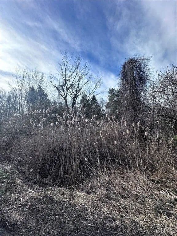 Lots & Land-Other in Baldwinsville