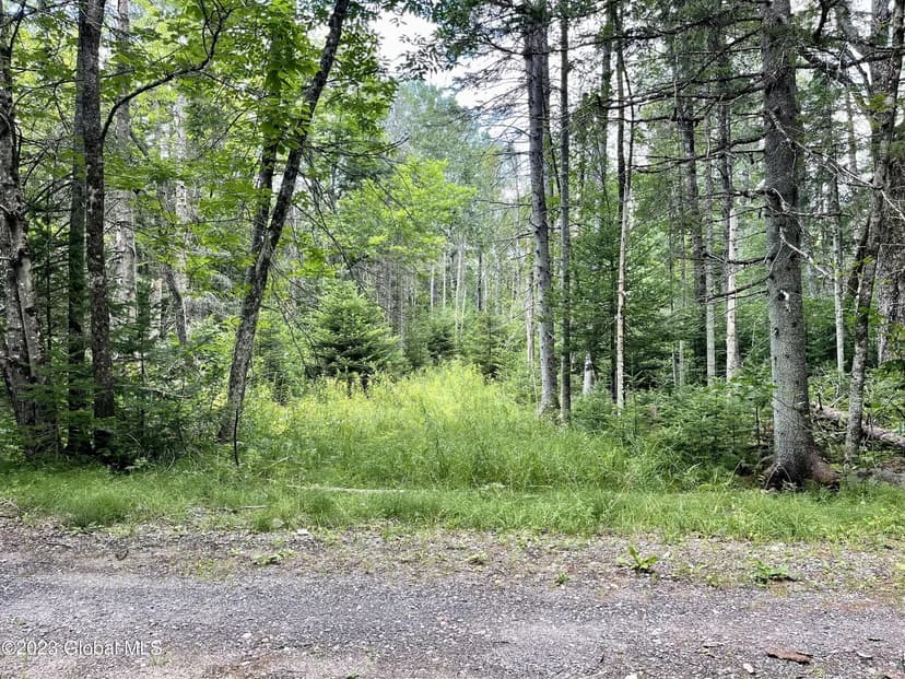 Lots & Land-Other in Indian Lake