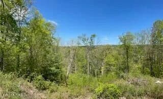 Lots & Land-Other in Helenwood