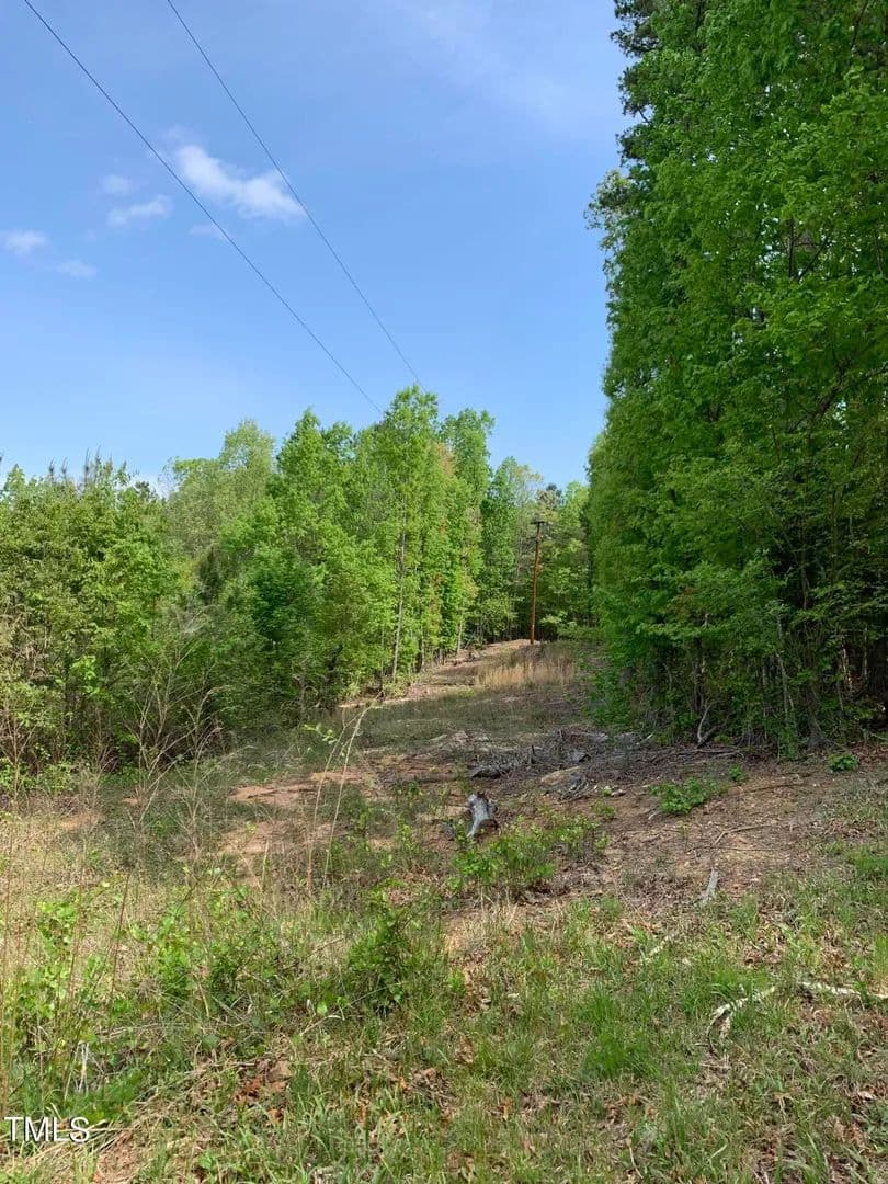 Lots & Land-Other in Bullock