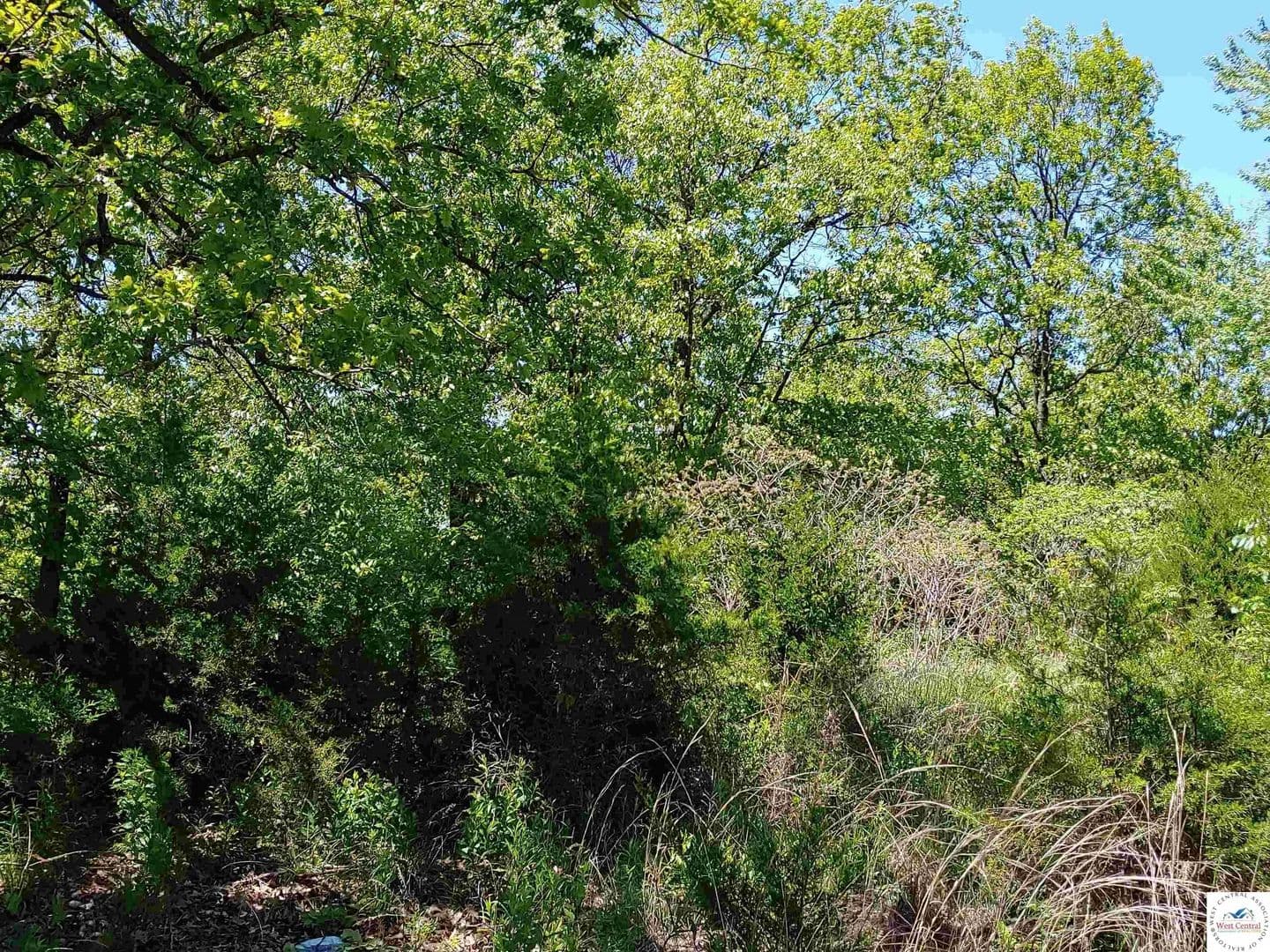 2 Acres of Land for Sale in Hermitage, MO - Hermitage, Missouri, 65668