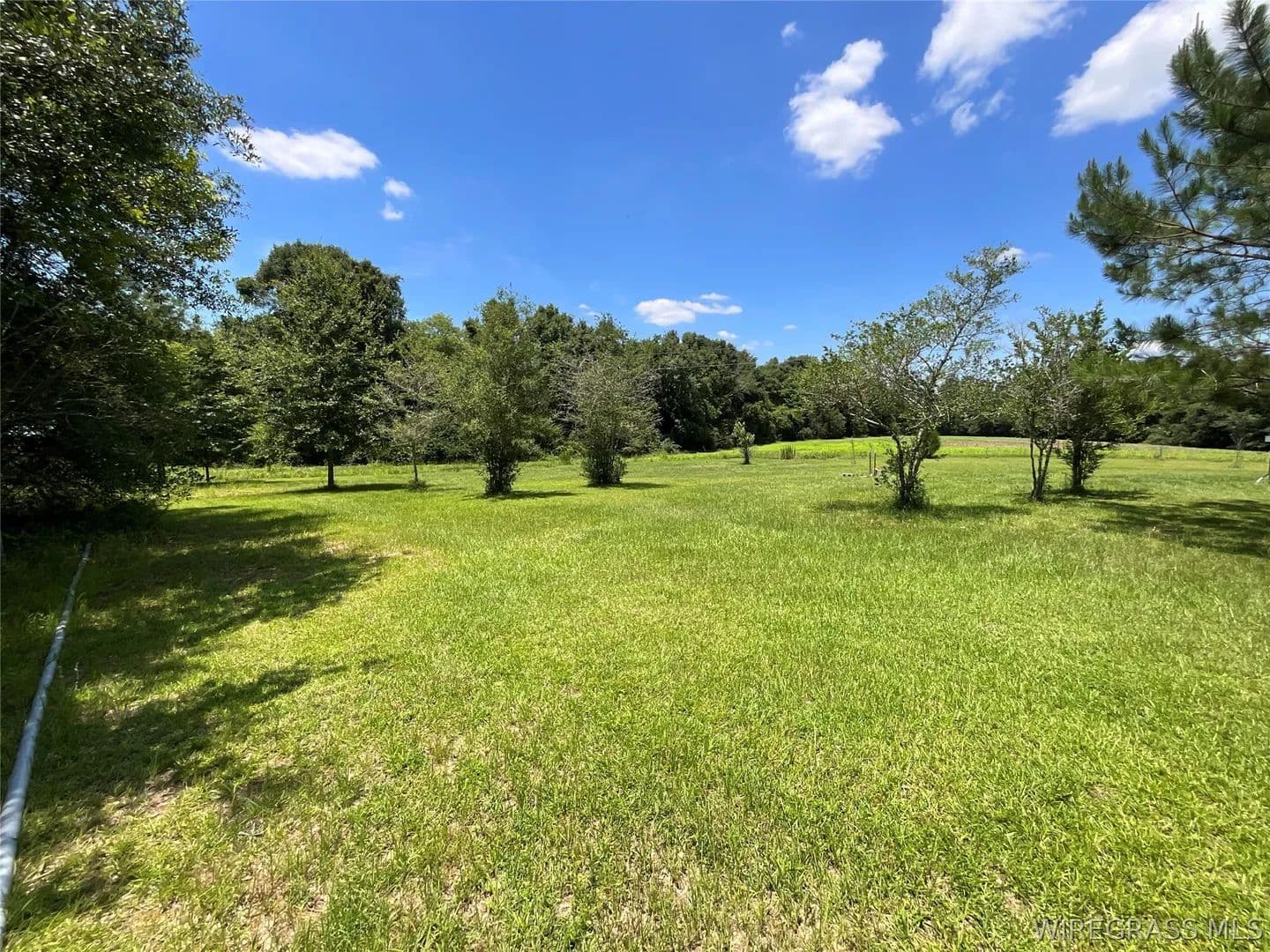Property from 2912 County Road 1 - KW - Samson, Alabama, 36477