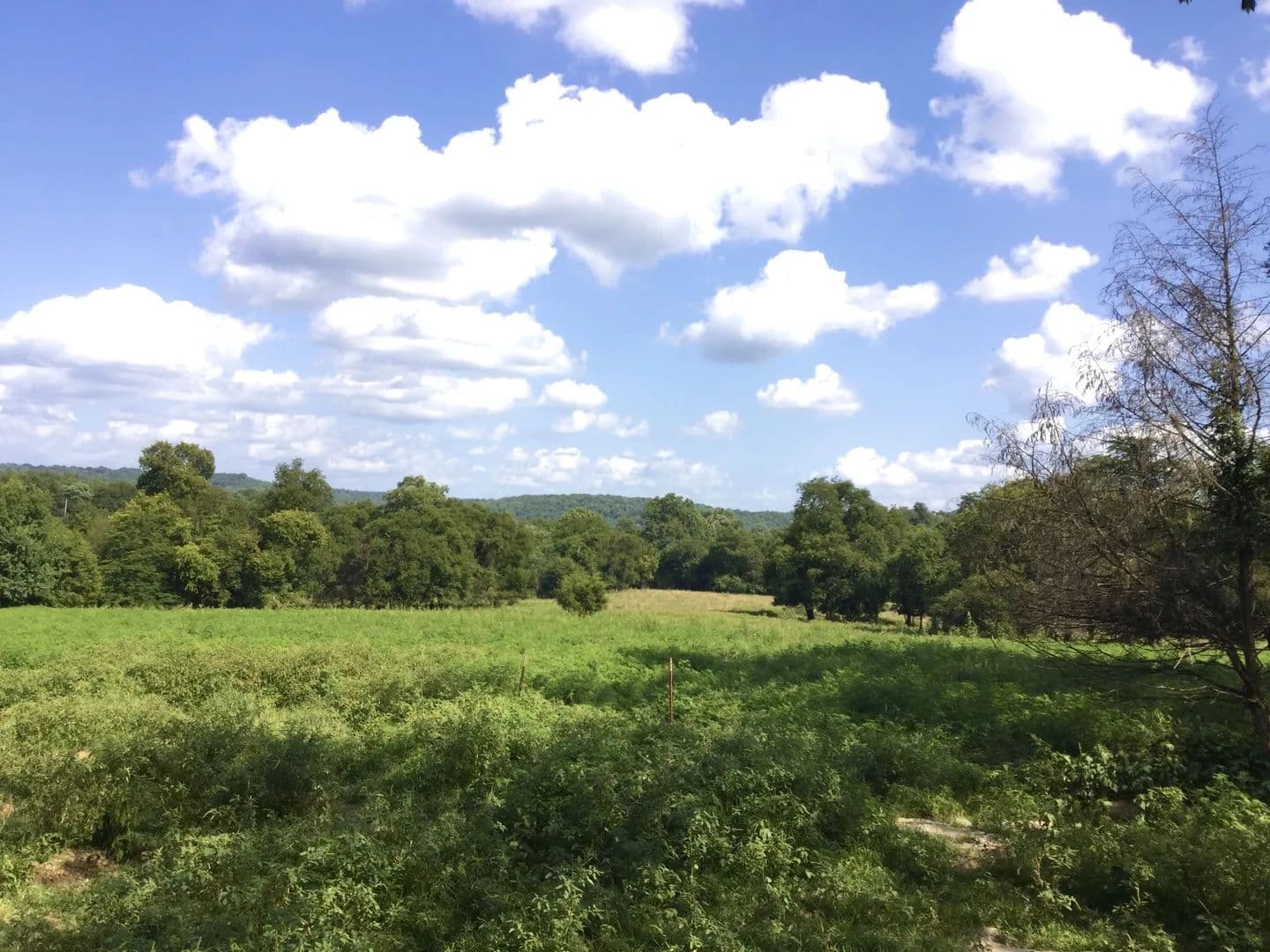 33.36 Acres of Land for Sale in Lynchburg, Tennessee - Lynchburg, Tennessee, 37352