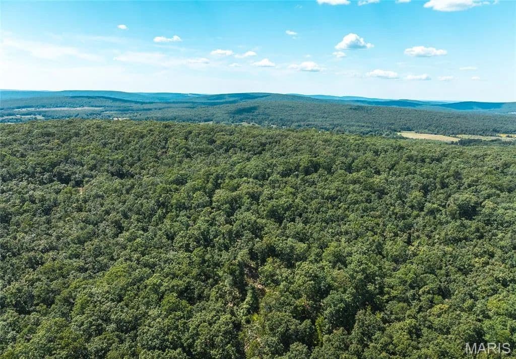 Property from 6 Buck Mountain Road - KW - Farmington, Missouri, 63640