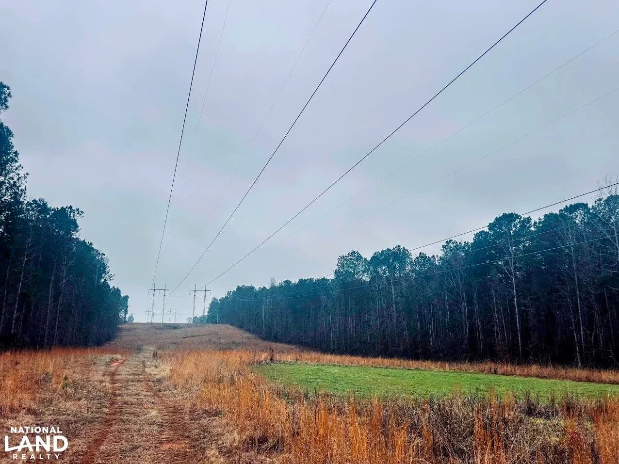 Powerline Ridge Preserve - Milledgeville, Georgia, 31061