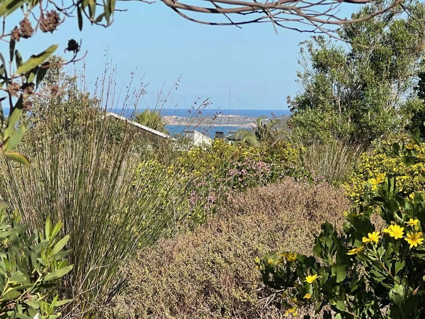733 Acres of Land for Sale in Mossel Bay, Western Cape - land for sale