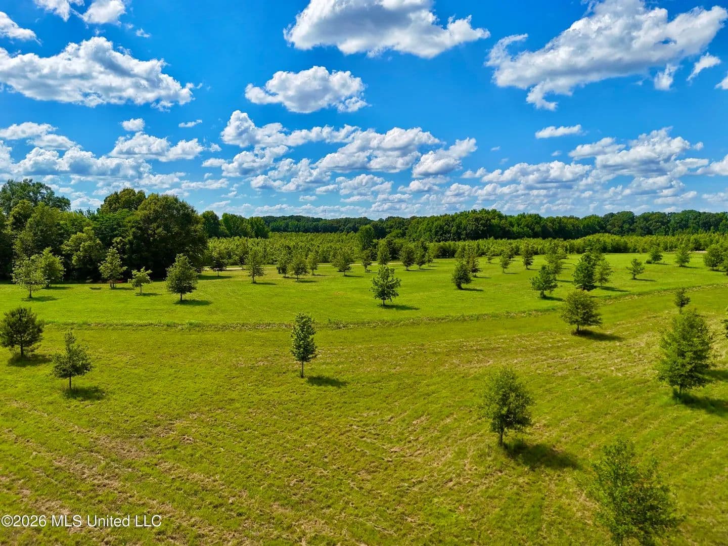 Property from 0014 Windermere Boulevard - KW - Madison, Mississippi, 39110