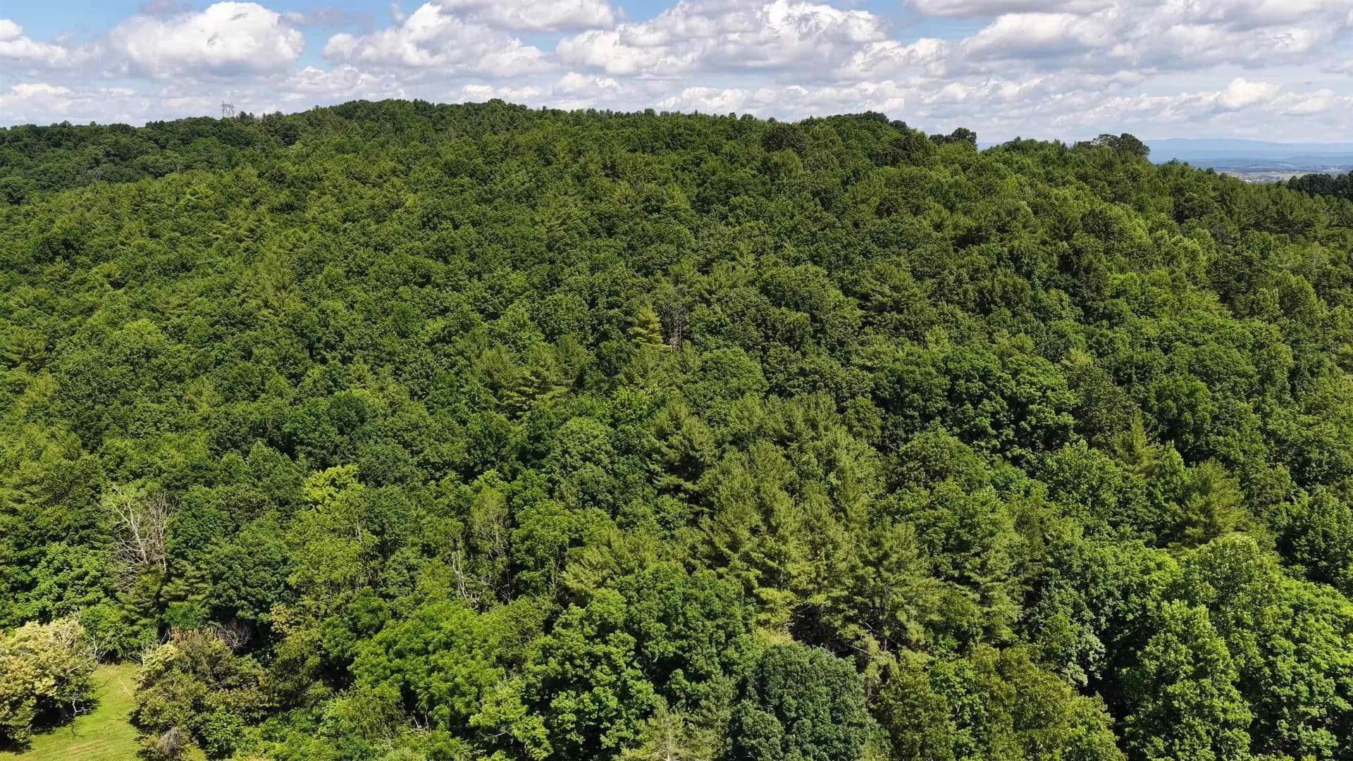 63.55 Acres of Land for Sale in Riner, VA - Riner, Virginia, 24149