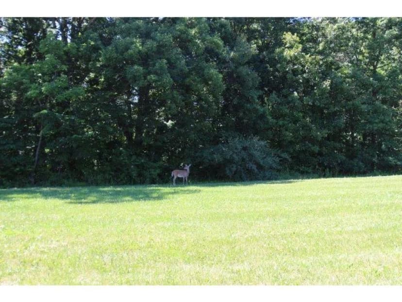 Vacant Land in Charleston