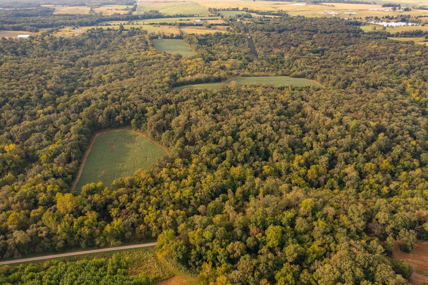 74± Acres of Prime Tillable & Turnkey Hunting Land with Exceptional Access - Bellflower, Missouri, 63333