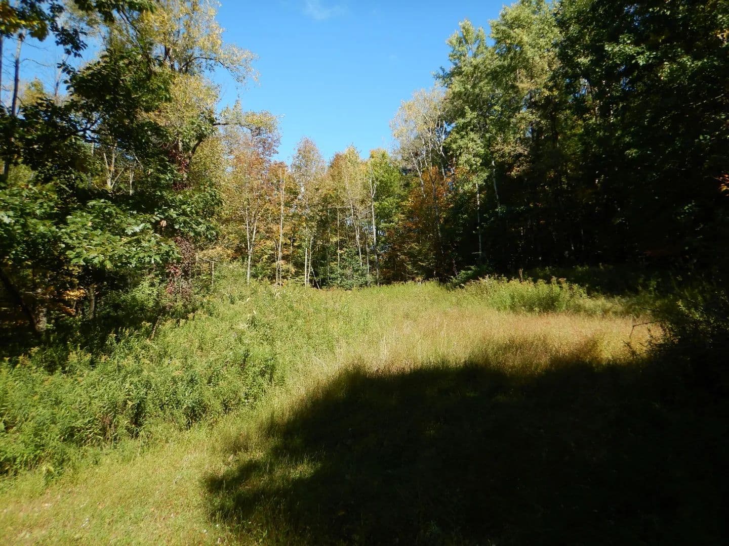 Phillips Road - land for sale