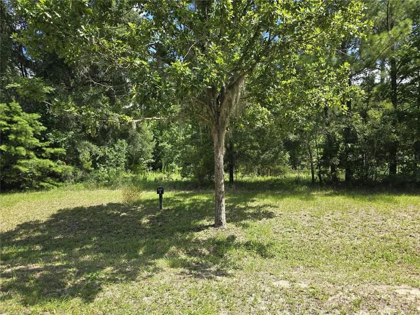 Vacant Land in Gainesville