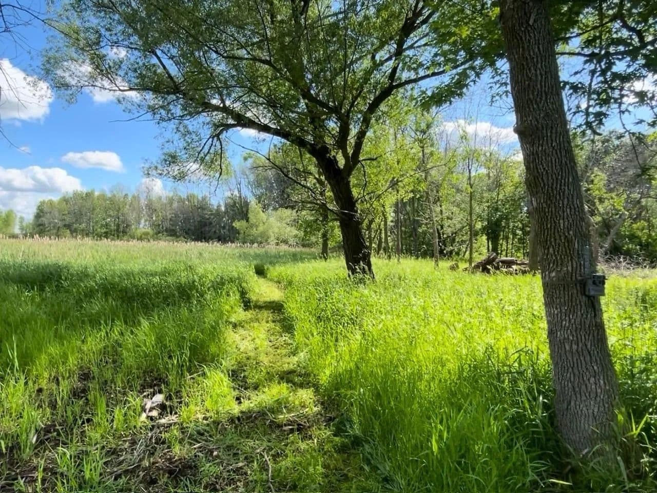 11.03 Acres of Land for Sale in Winneconne, Wisconsin - Winneconne, Wisconsin, 54986