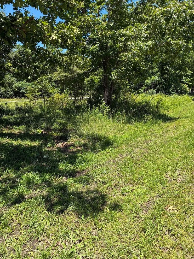 Affordable 0.16+/- AC Lot in Carter Co. - Hunter, Missouri, 63943