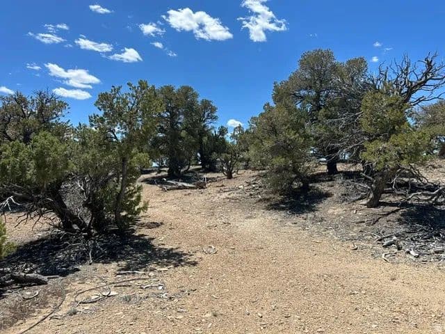Property from Fruitland, UT 84027 - KW - land for sale