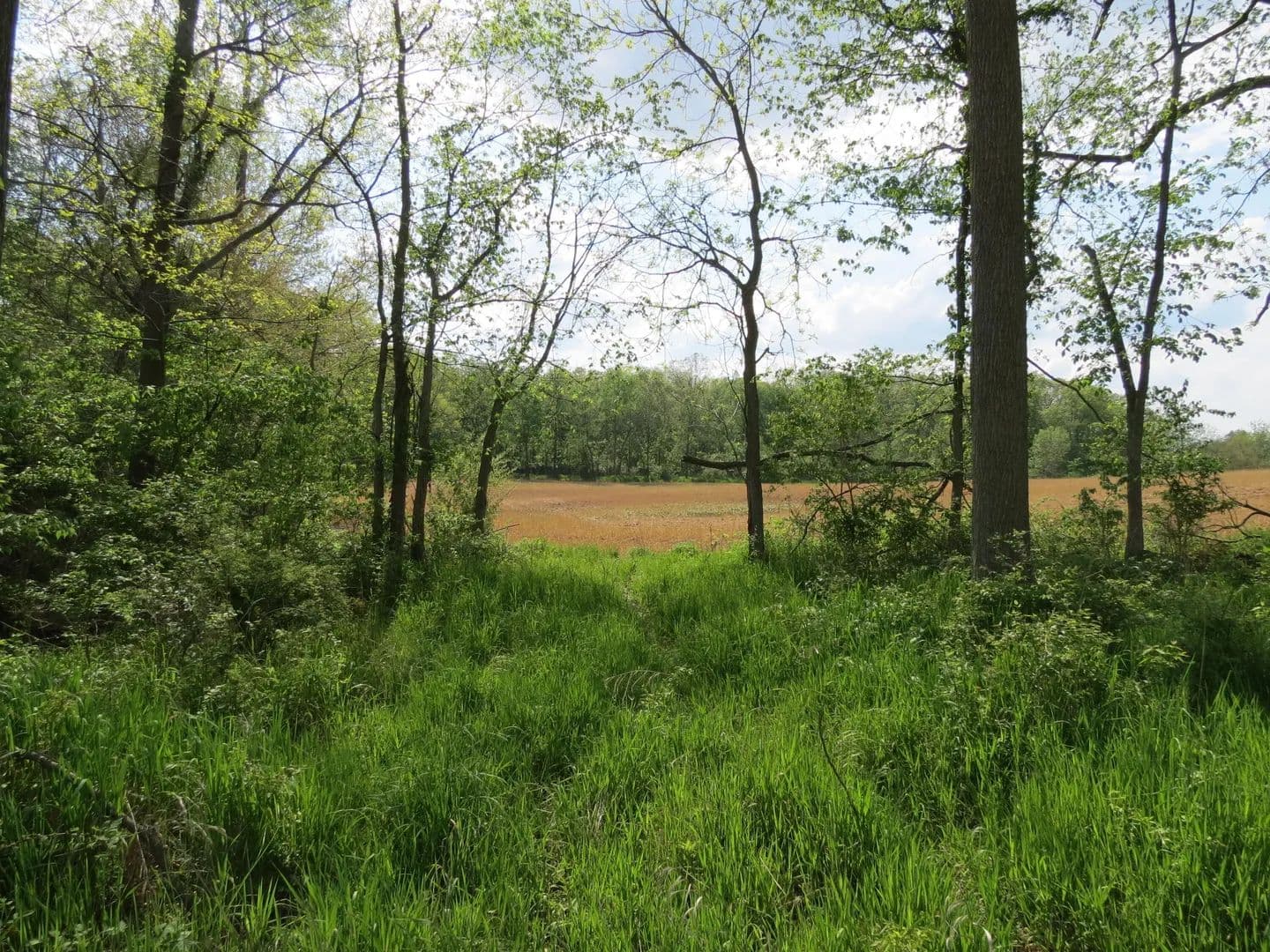 Property from S Stony Lake Road #A - KW - Jackson, Michigan, 49201