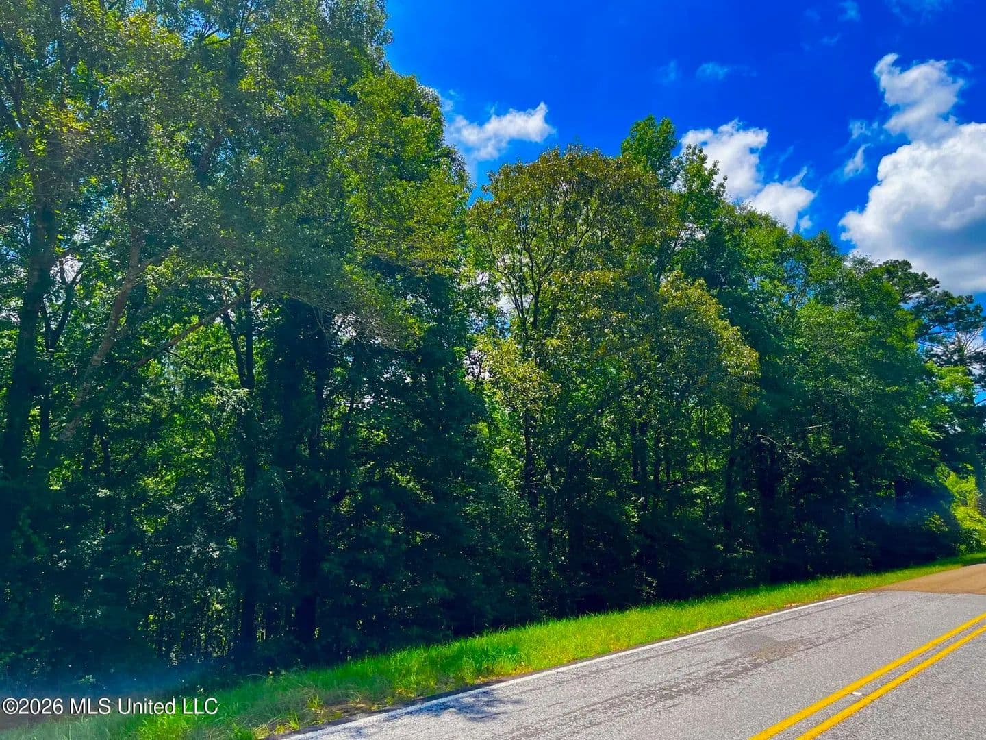 Property from F E Sellers Highway - KW - Monticello, Mississippi, 39654