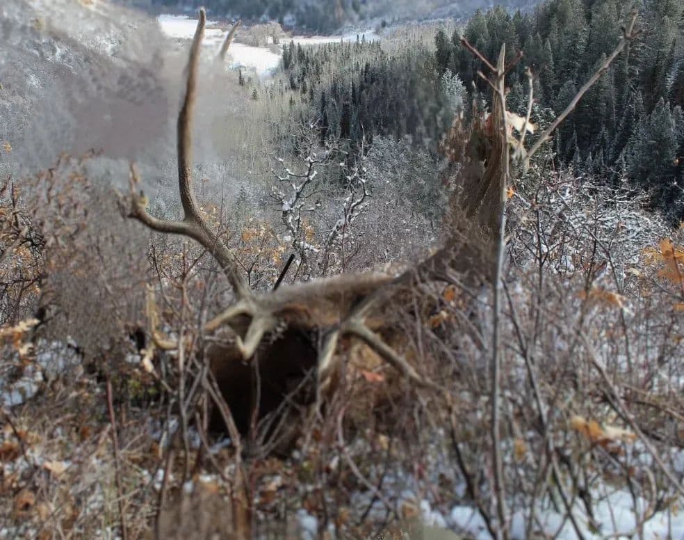 Oak Creek Cabin in Oak Creek, Colorado - photo 55