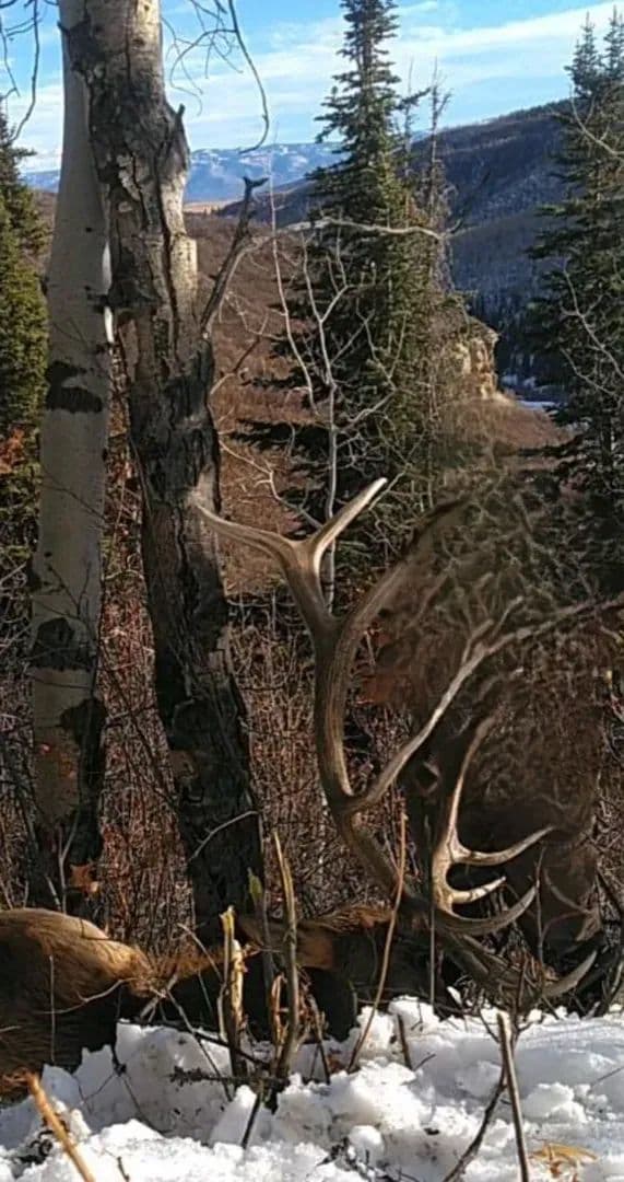 Oak Creek Cabin in Oak Creek, Colorado - photo 52