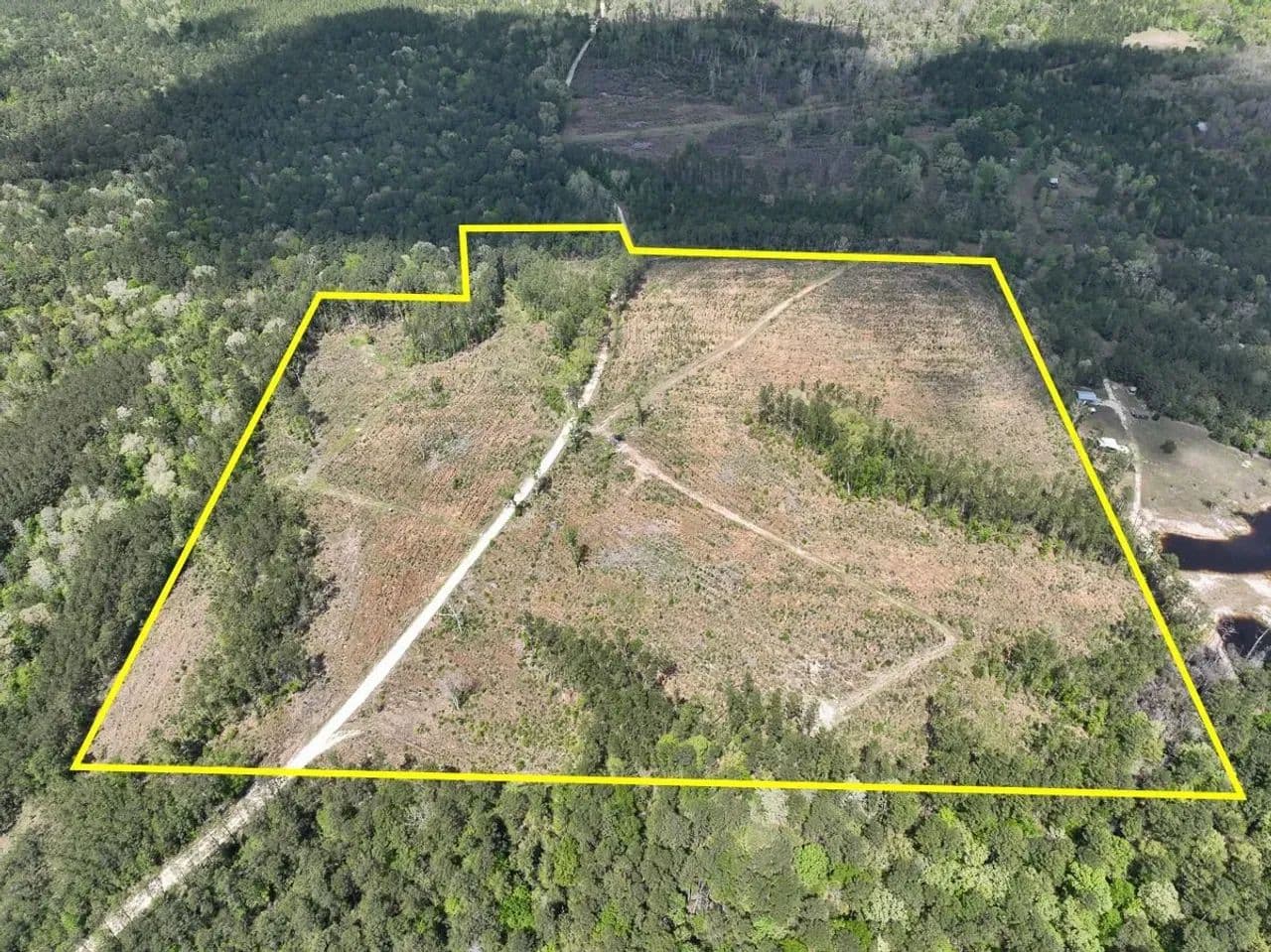 46 Acres | County Road 2834 | SN6017 - Colmesneil, Texas, 75938