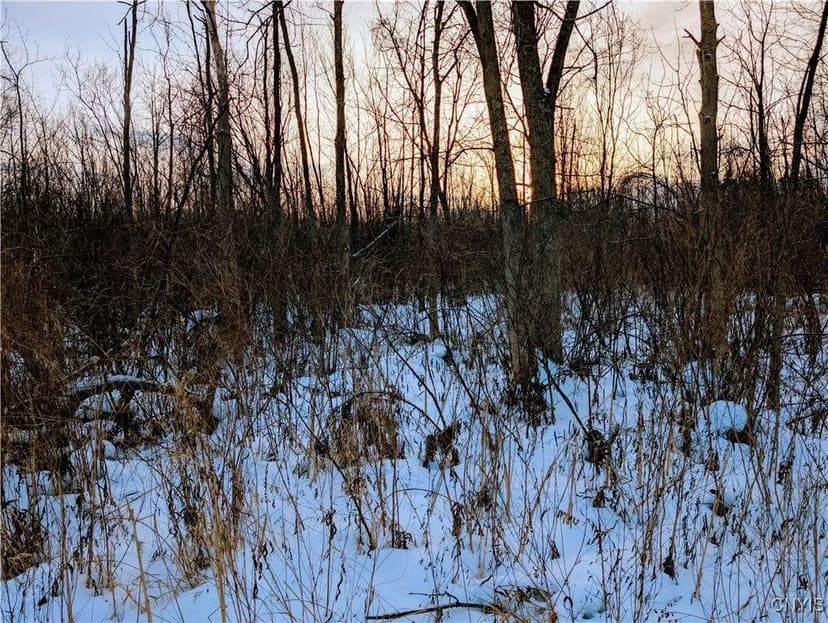 Lots & Land-Other in Kirkville