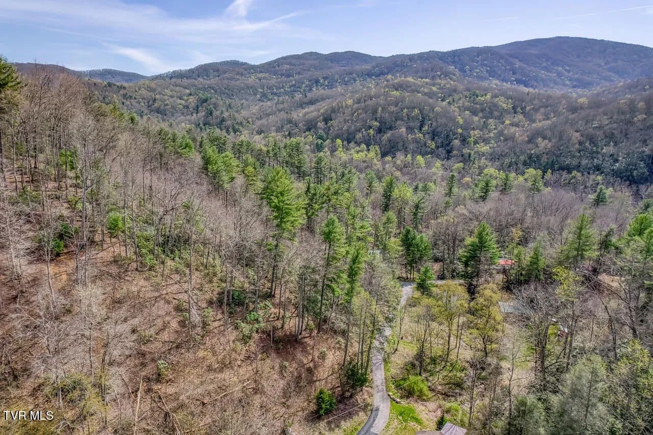 Vacant Land in Roan Mountain - Roan Mountain, Tennessee, 37687