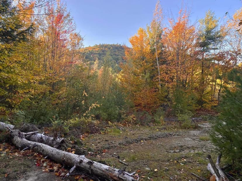 Vacant Land in Eaton