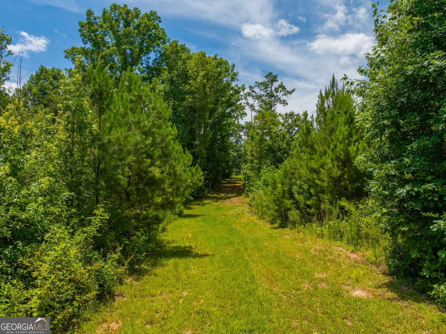 29.3 Acres of Land for Sale in Madison, GA - Madison, Georgia, 30650