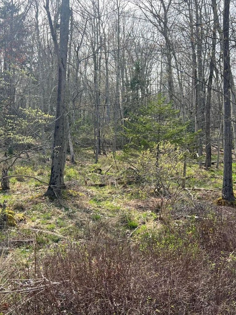 Lots & Land-Other in Pocono Lake