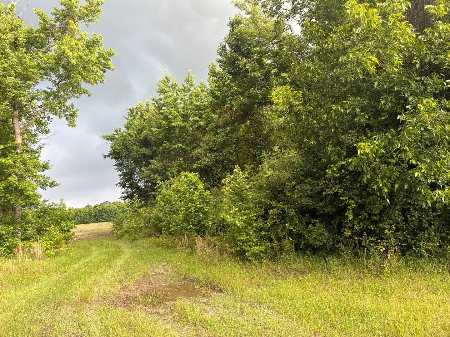 Property from 2227 Goward Road - KW - Alcolu, South Carolina, 29001