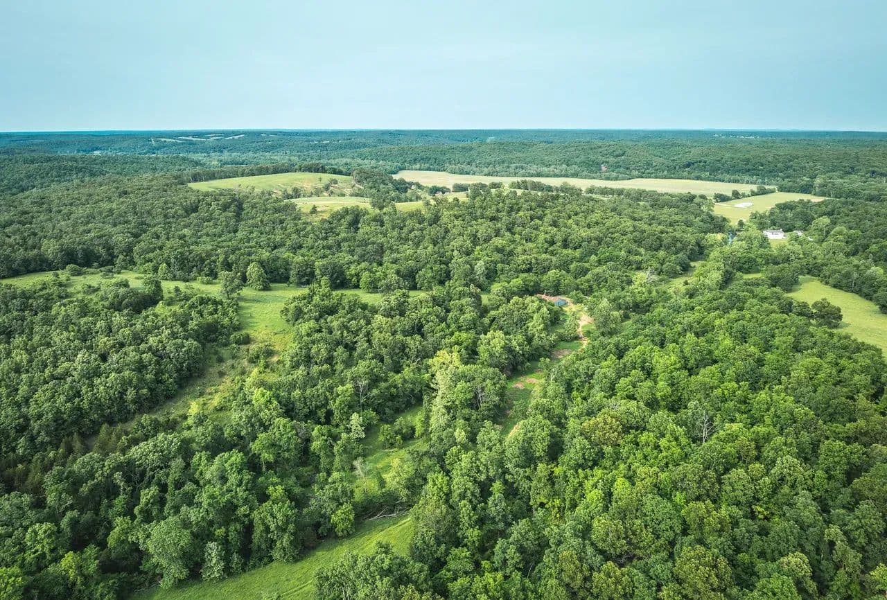 Wesco Auction Tract 6 - Cook Station, Missouri, 65449
