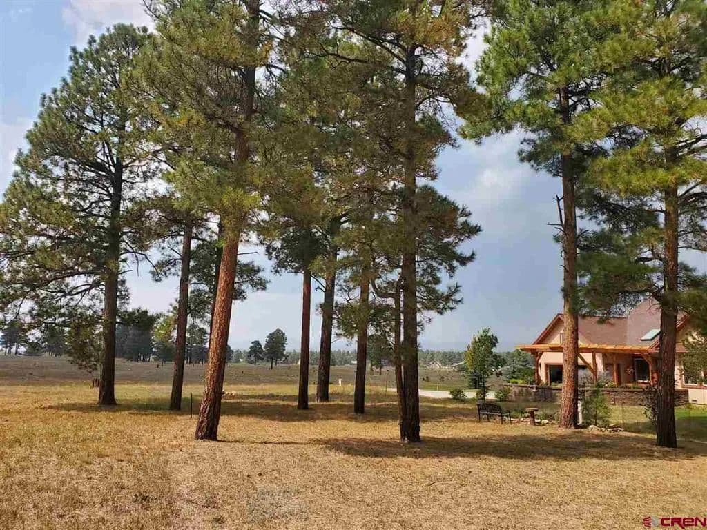 Property from 69 Capstone Circle - KW - Pagosa Springs, Colorado, 81147