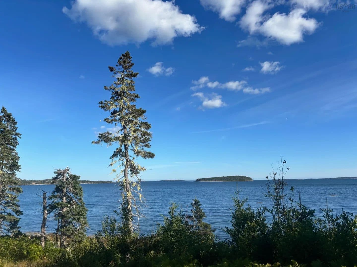 10.82 Acres of Land for Sale in Port Dufferin, NS - land for sale